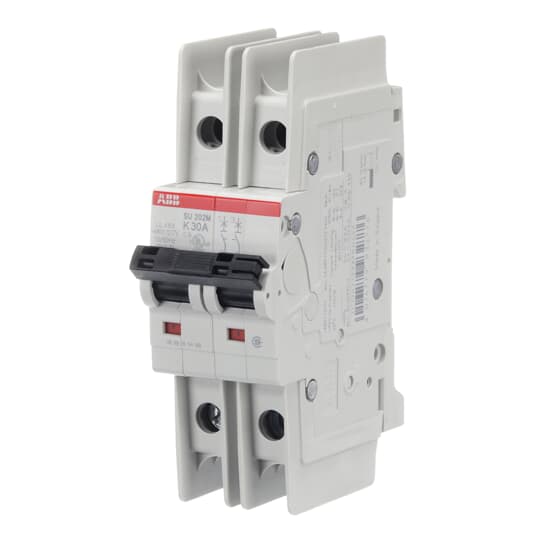 SU202M-K30 ABB Bolt-On 30 Amp 2 Pole 1 PH 240V Circuit Breaker 10kA@240V AIC - Essential Electric Supply