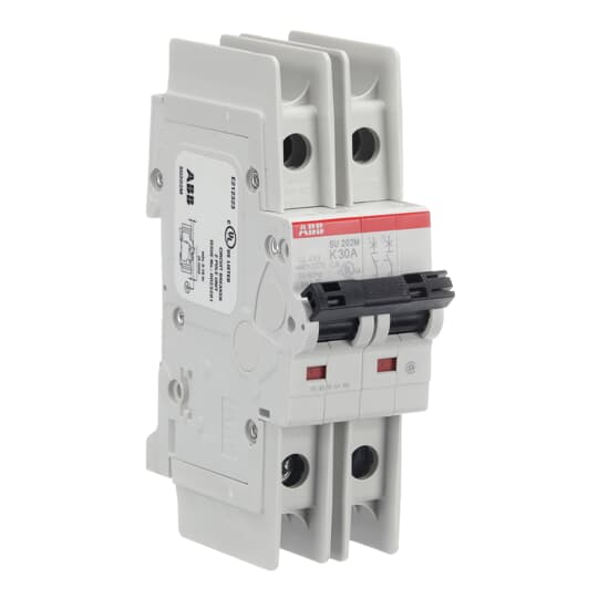 SU202M-K30 ABB Bolt-On 30 Amp 2 Pole 1 PH 240V Circuit Breaker 10kA@240V AIC - Essential Electric Supply
