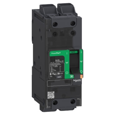 BDL26070 - Schneider Electric Feed-Thru 600V 70A 2 pole circuit breaker 18kA@480V - Essential Electric Supply