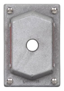 Crouse-Hinds DS441 Electrical box covers | Single-Gang Blank Cover Feraloy Iron Alloy Hazardous Locations FlexStation