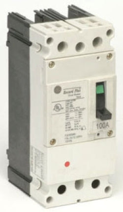 FBV26TE100RV - General Electric Bolt-On 100 Amp 2 Pole Circuit Breaker - Essential Electric Supply