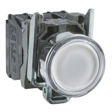 XB4BW31B5 - Essential Electric Supply