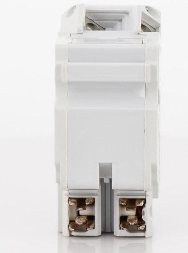 Federal Pioneer NA2P125 Circuit Breaker | 240V 125A 2P 10kA@240V Plug-In Stab-Lok